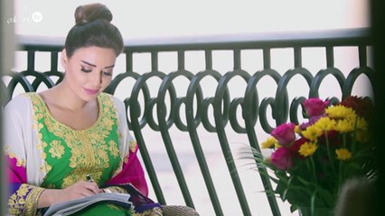 آخر التطوّرات في قضية منع سيرين عبد النور من دخول سوريا