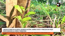 Productores en alerta desregulación, sobre stock y precios en rojo profundizan la crisis yerbatera