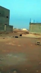 بالفيديو: توثيق لحظة اتهام مقيم مصري مواطن بطبخ الكلاب في القصيم