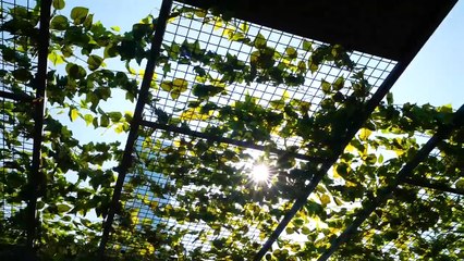 حمدان بن محمد يعتمد الهوية المعمارية الموحدة لشبكات الطرق بدبي