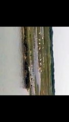 Explore the beauty of Nature | Nature with Amit