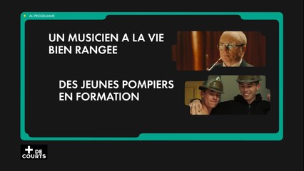 Teaser + DE COURTS du 23 novembre 2025