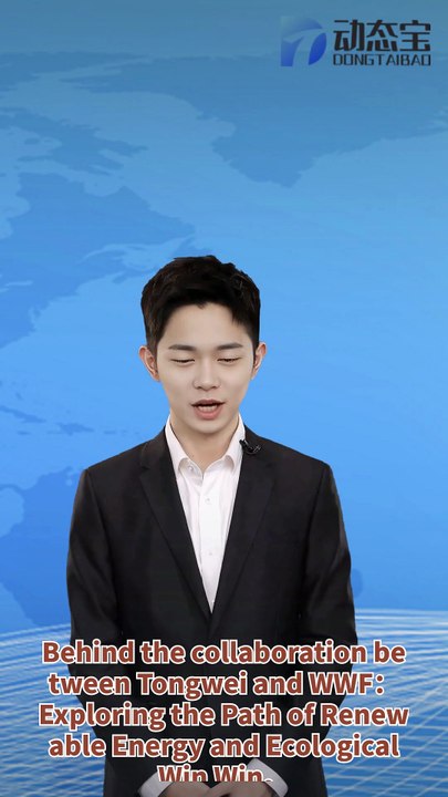 Behind the collaboration between Tongwei and WWF: Exploring the path of renewable energy and ecological win-win