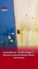 🏳️‍🌈 Deetox Alanís denunció que su hogar fue agredido con huevos. Todo apunta a seguidores de Nayla Downs, elevando la rivalidad del reality a un nivel preocupante.