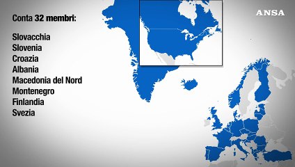 Cosa dicono gli articoli 4, 5 e 6 del Trattato Nato