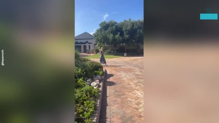 Amazing Moment Woman Gets Surprised With New Car