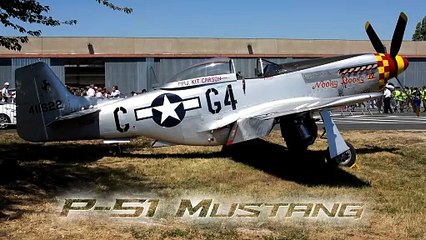 P-51 MUSTANG 🤩 BA 721 Rochefort 🤩