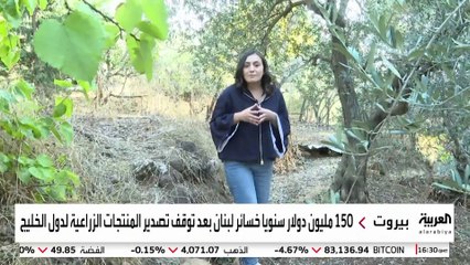 فحص شحنات الفاكهة بالذكاء الاصطناعي في مرفأ بيروت مع تراجع معدلات تهريب الكبتاغون