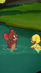 Tom and Jerry cartoon duck swimming training #