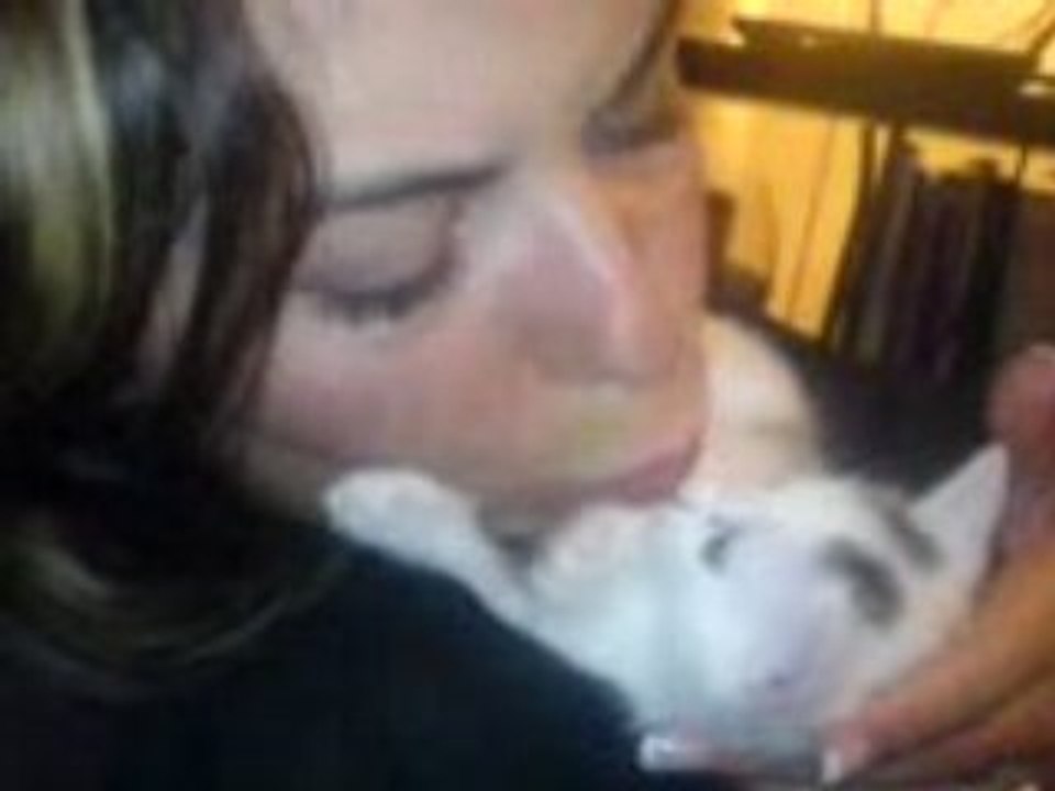 Calin du soir avec Sushi