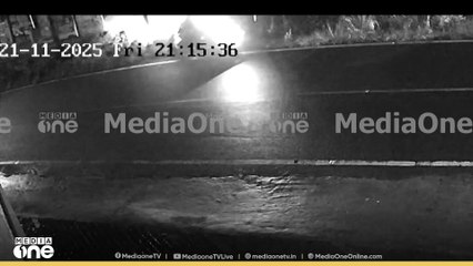 തിരുവനന്തപുരം കല്ലറയിൽ കാട്ടുപന്നി കുറുകെ ചാടി; ഓട്ടോറിക്ഷ മറിഞ്ഞ് ഡ്രൈവർക്ക് പരിക്ക്