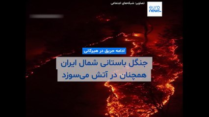 ادامه حریق در هیرکانی؛ جنگل باستانی شمال ایران همچنان در آتش می‌سوزد