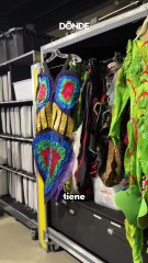 Secretos que debes conocer de OVO del Cirque du Soleil - Dónde Ir