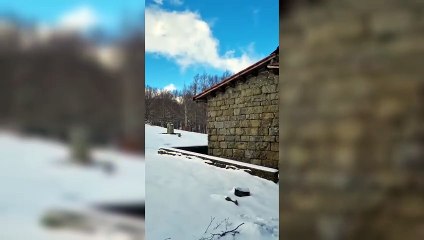 Neve in Toscana, il Pratomagno diventa magico: i primi passi sul manto imbiancato