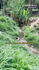 Chuvas impõem clima de medo a BH, agravado pelas desigualdades sociais