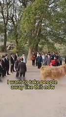 Biological parents kicked her out because she lost virginity, didn't expect CEO come to propose!