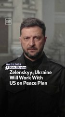 Zelenskyy: Ukraine Will Work With US on Peace Plan