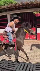 A-rienda-suelta-jajajajajajjaajaja🤣🤣