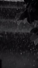 romantic rainy day status l barish status #monsoon #rain #shorts