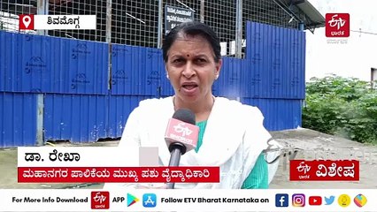 ಬೀದಿ ನಾಯಿಗಳ ಹಾವಳಿ ತಡೆಗೆ ಶಿವಮೊಗ್ಗ ಪಾಲಿಕೆಯಿಂದ 'ಎಬಿಸಿ ಅಭಿಯಾನ'
