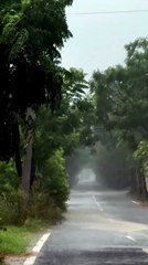 Romantic rainy day status l monsoon season l barish whatsapp status