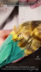 Daddy's Little Healer