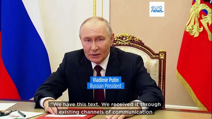 Zelenskyy faces tough choice as Putin welcomes US-Russia peace plan