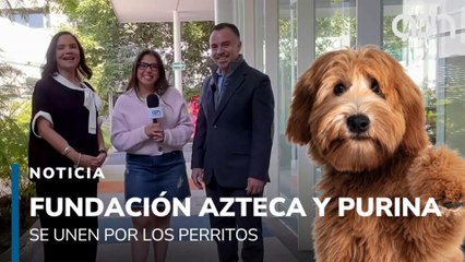 Fundación Azteca y Purina se unen por los perritos para promover la adopción