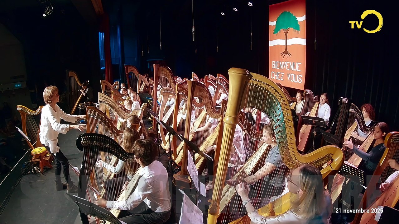 Sans commentaire: concert de harpe