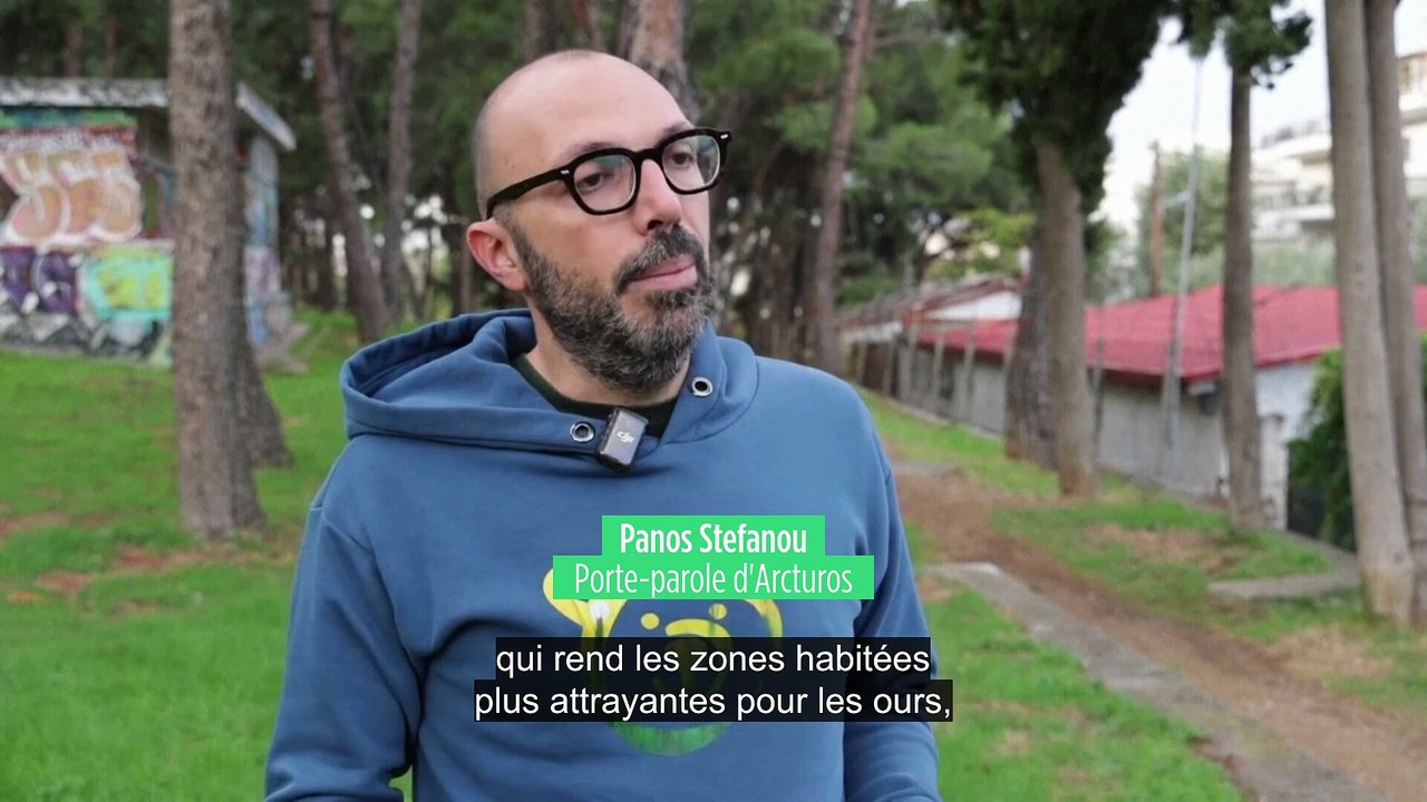 Les animaux sauvages de plus en plus nombreux en Grèce : la peur gagne certains villages