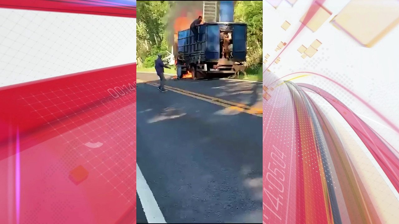 Caminhão boiadeiro é atingido por incêndio na PR-317; veja vídeo