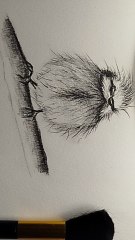 How to draw and shade a bird , realistic bird tutorial, easy and cute bird drawing