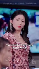 Back To The Ring: My KO Mom