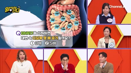 다이어트 유산균 BNR17을 섭취하면 다당류가 5배 증가한다?