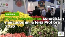 Flores colombianas conquistan mercados en la feria Proflora 2025