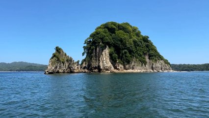 mqn-Puntarenas desde el mar: el tour que revela los secretos mejor guardados del Golfo de Nicoya-211125