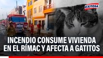 Incendio consume vivienda en el Rímac y afecta a gatitos
