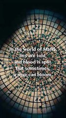 The Rise of Mr. & Mrs. Mafia Dramabox