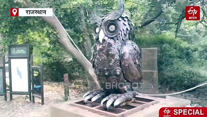कबाड़ से जन्मीं 'मेटल बर्ड्स' ने केवलादेव को दी नई चमक, पर्यटकों को दिखेंगे उल्लू और डार्टर के रियलिस्टिक मॉडल