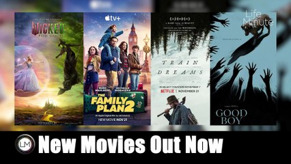 New Movies: Wicked: For Good, The Family Plan 2, Good Boy, and Train Dreams