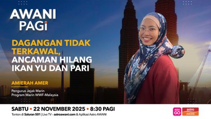 AWANI Pagi: Dagangan tidak terkawal, ancaman hilang ikan yu dan pari