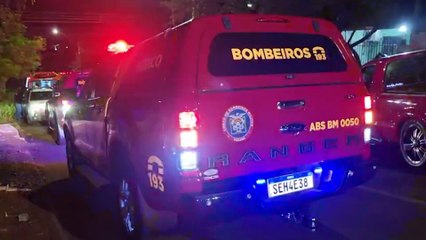 "Várias lesões em couro cabeludo, face e perna", diz médico sobre criança atacada por Pitbull