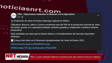 FIRA: Cuatro estados lideran la producción de carne bovina en México