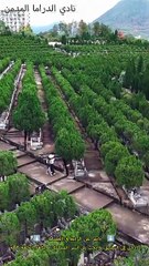 ظنّ أنها مجرد مراهقة متمردة... حتى اختفت فجأة، فبحث عنها كالمجنون!#4075