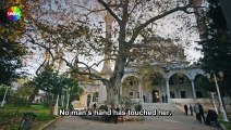 Kizilcik Serbeti - Episode 114 (English Subtitles)