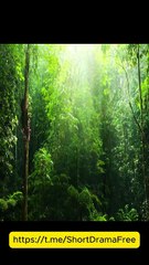 I Had a Baby without You USA #ReelShort