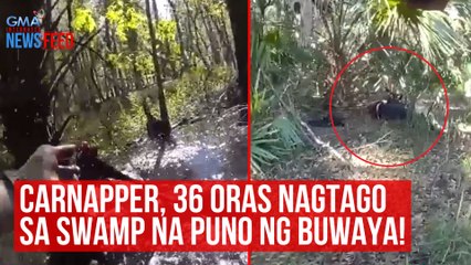 Carnapper, 36 oras nagtago sa swamp na puno ng buwaya! | GMA Integrated Newsfeed