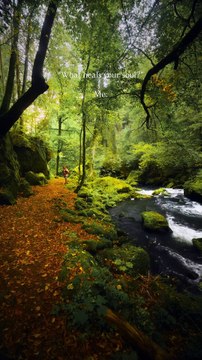 Walking here feels like therapy … no rush, no noise, just the steady sound of water and the scent of pine. It’s one of those corners of Germany that still feel untouched, where you can simply breathe and let your mind rest. 💧
