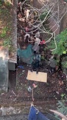 Dramatic Leopard Rescue Operation Caught on Camera | Forest Officials in Action