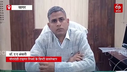 अफ्रीका से मध्य प्रदेश के सागर पहुंचेंगे तूफानी चीते, रानी दुर्गावती टाइगर रिजर्व बनेगा चीतों का नया आशियाना